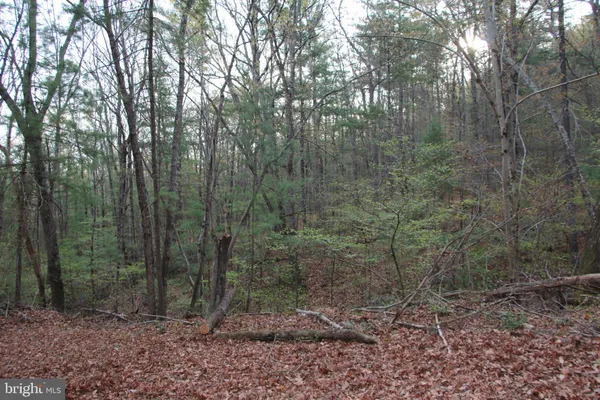 $250,000 | Valley Burg Road, Luray, VA 22835