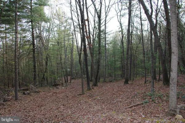 $250,000 | Valley Burg Road, Luray, VA 22835