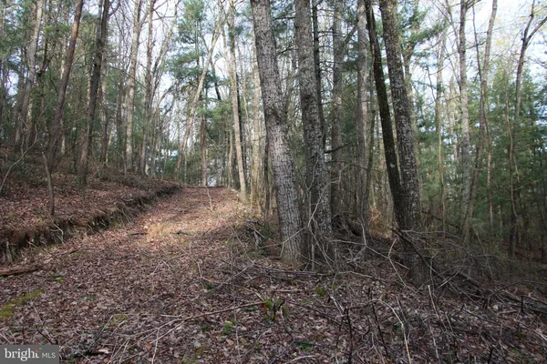 $250,000 | Valley Burg Road, Luray, VA 22835
