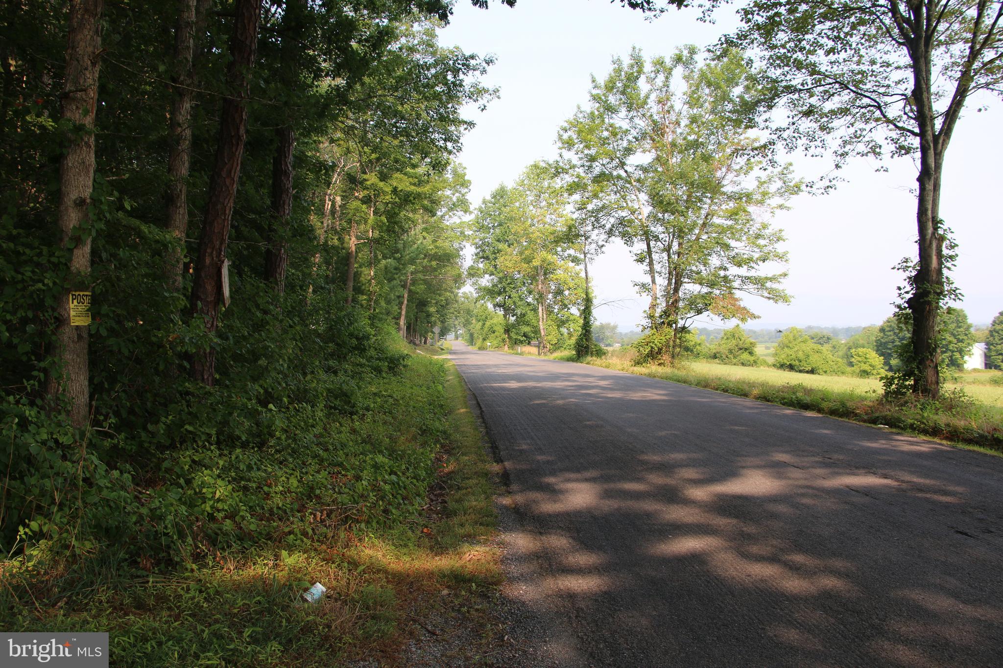 Valley Burg Road Luray, VA 22835 - Photo 6 of 61