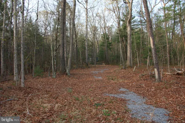 $250,000 | Valley Burg Road, Luray, VA 22835