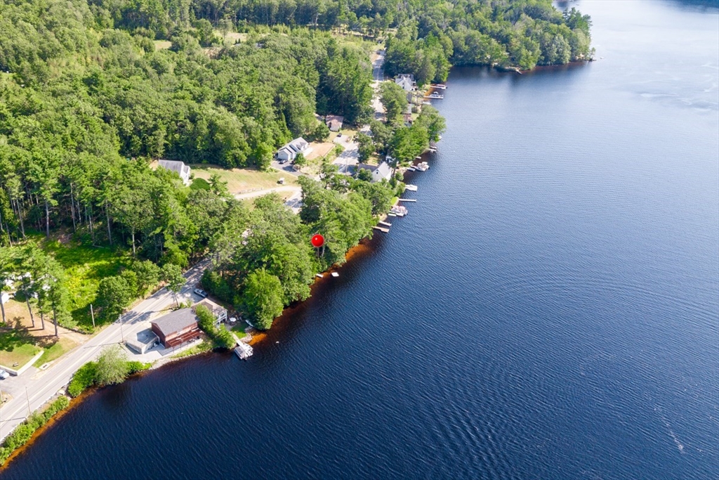 213 Ashby Road Ashburnham, MA 01430 - Photo 36 of 39 a bunch of flowers in a garden