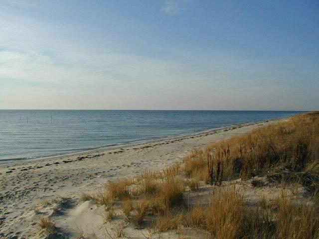 0 Nottingham Ridge Lane, Unit 3B Cape Charles, VA 23310 - Photo 4 of 10