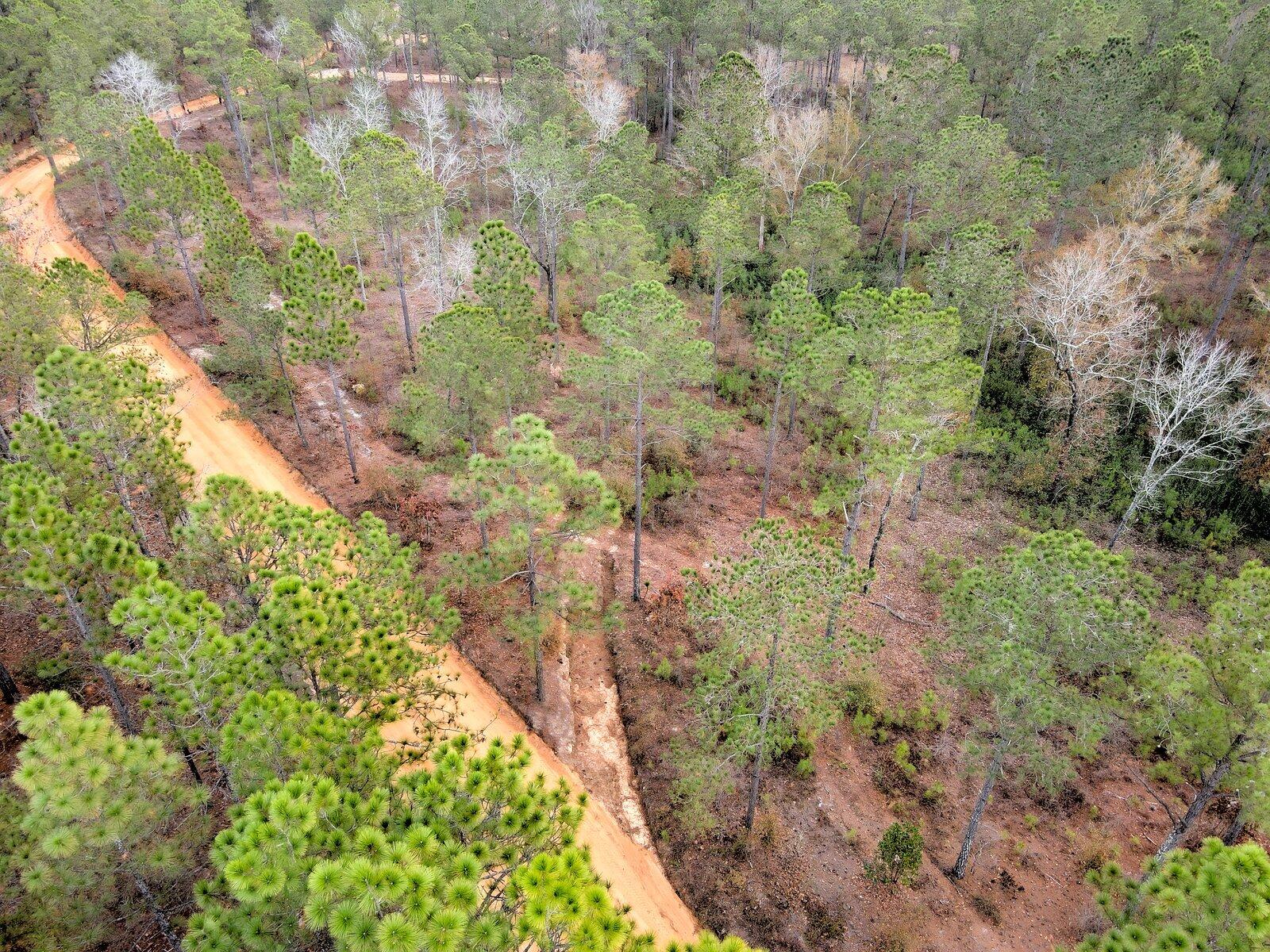0 Deer Run Road, Unit F1 Williston, SC 29853 - Photo 11 of 14 Gallery Image 11