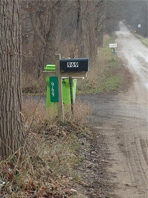 555 South Dancer Road Chelsea, MI 48118 - Photo 11 of 21