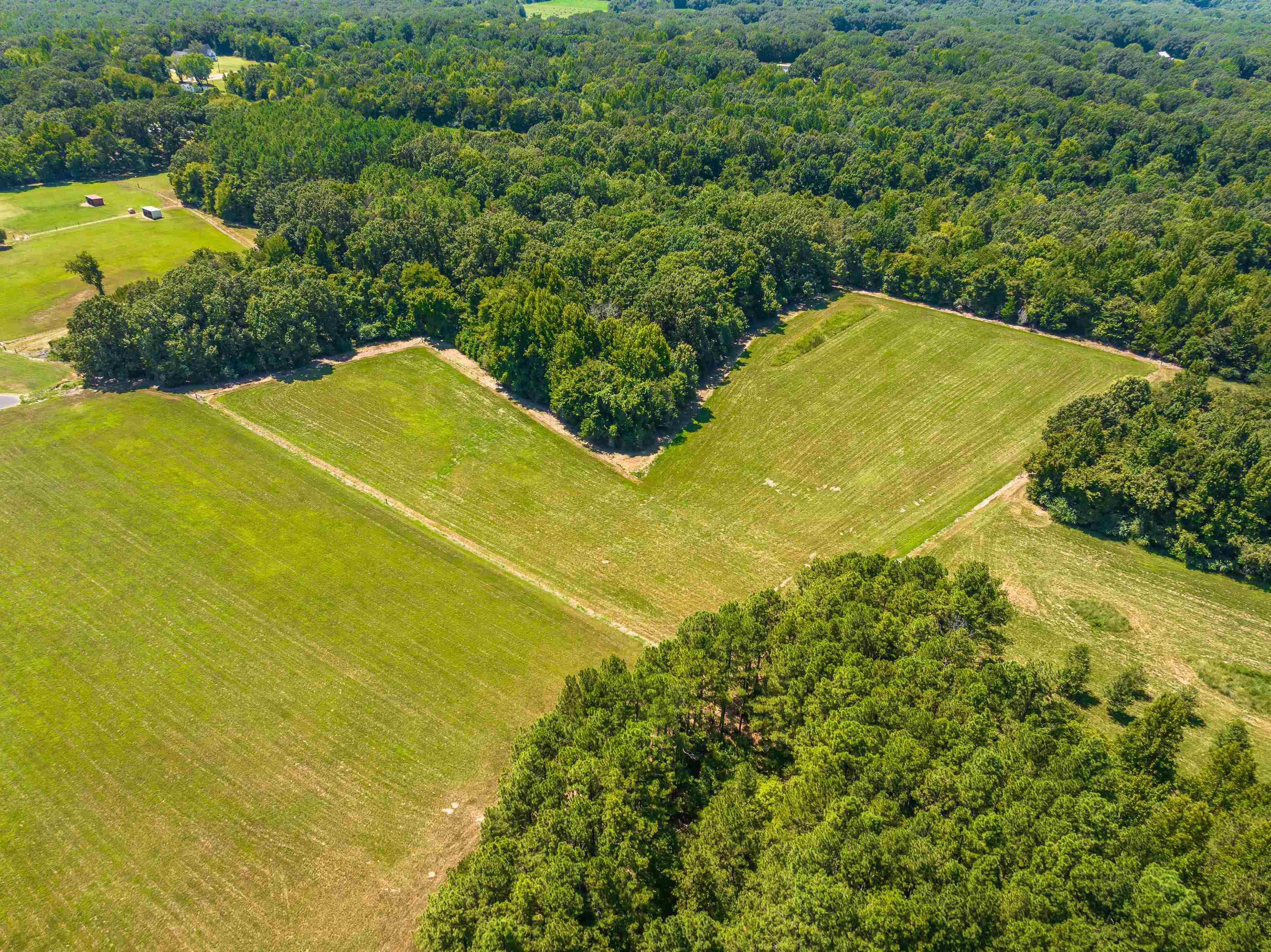 2865 Bobbitt Road Williston, TN 38076 - Photo 5 of 40 Gallery Image 5