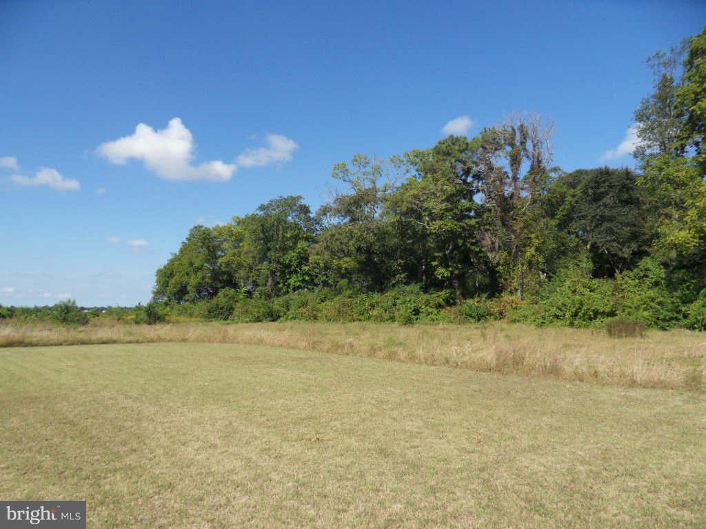 6112 Wanda Road Hurlock, MD 21643 - Photo 14 of 27 View