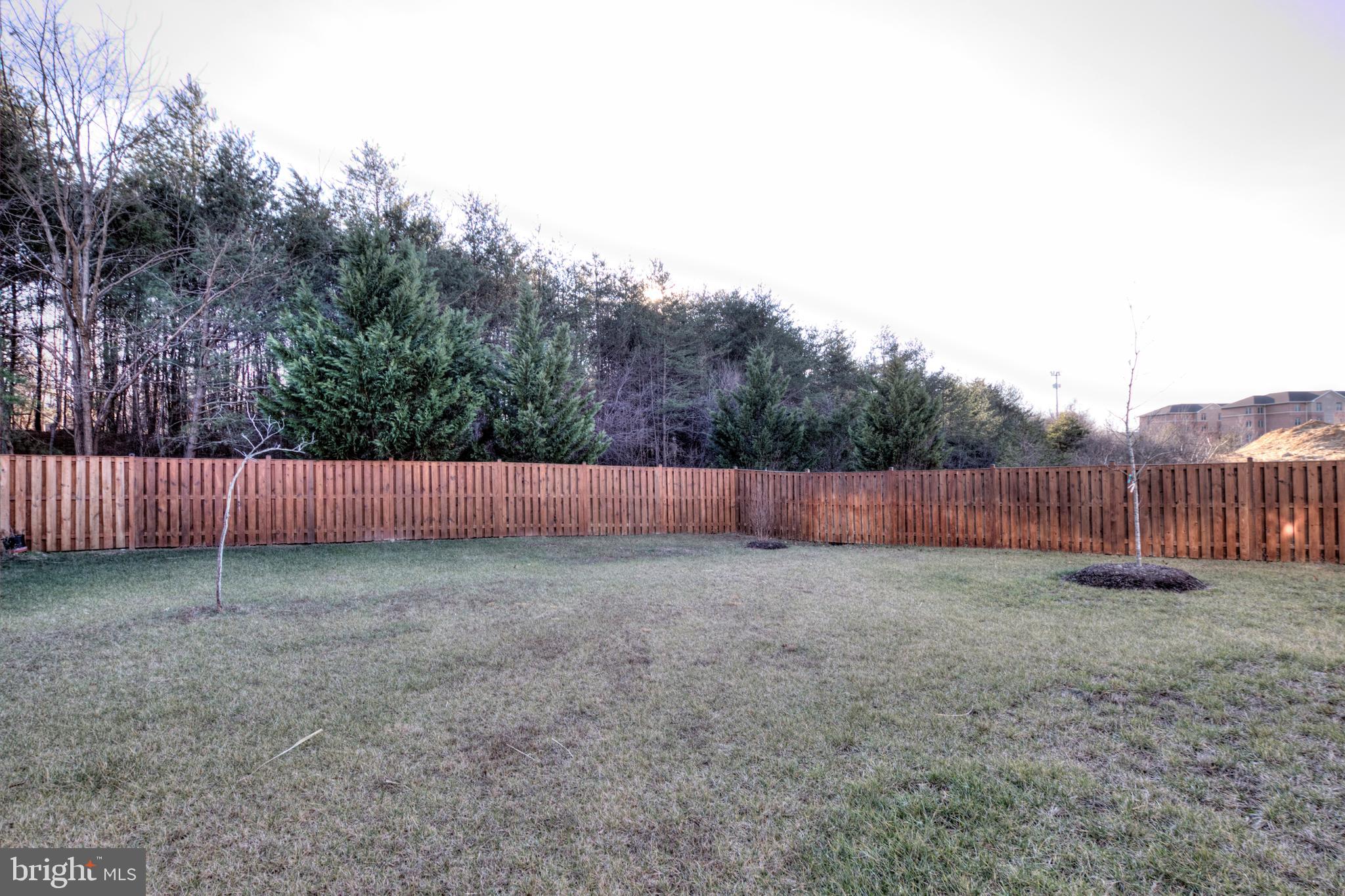 7004 Springville Court Springfield, VA 22150 - Photo 8 of 63 Gallery Image 8