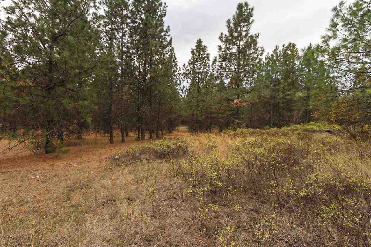 4-x13 Flyckt Road Chewelah, WA 99109 - Photo 2 of 10 Gallery Image 2