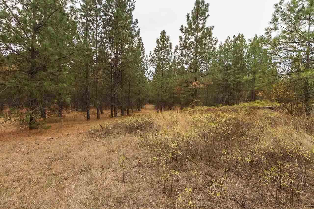 4-x13 Flyckt Road Chewelah, WA 99109 - Photo 3 of 10 Gallery Image 3