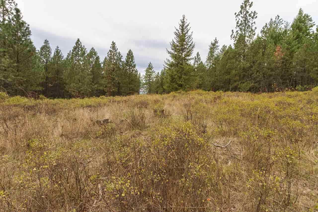 4-x13 Flyckt Road Chewelah, WA 99109 - Photo 4 of 10 Gallery Image 4