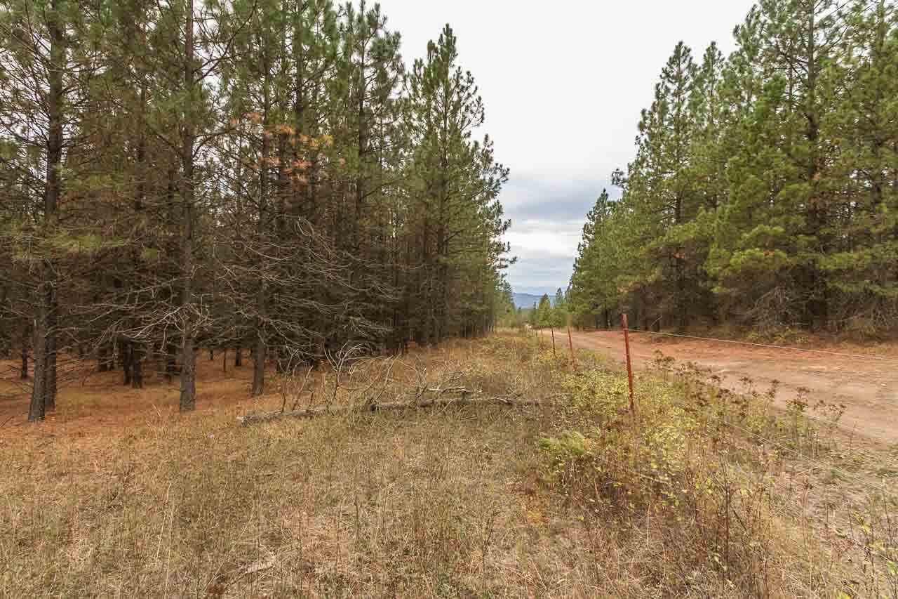 4-x13 Flyckt Road Chewelah, WA 99109 - Photo 5 of 10 Gallery Image 5