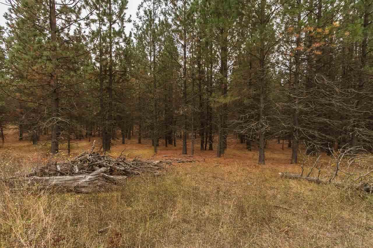 4-x13 Flyckt Road Chewelah, WA 99109 - Photo 6 of 10 Gallery Image 6