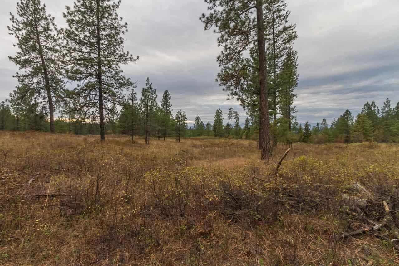 4-x13 Flyckt Road Chewelah, WA 99109 - Photo 8 of 10 Gallery Image 8