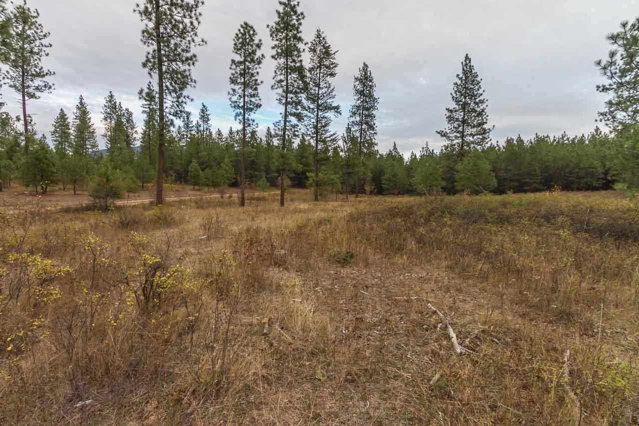 4-x13 Flyckt Road Chewelah, WA 99109 - Photo 9 of 10 Gallery Image 9