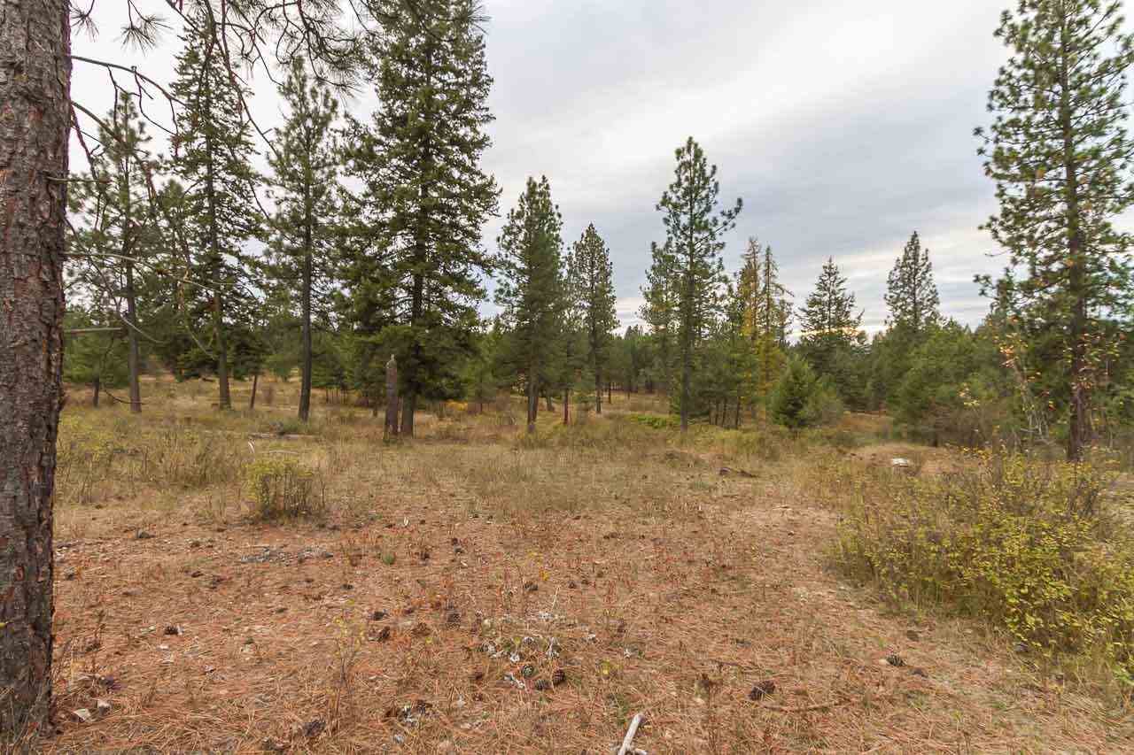 4-x13 Flyckt Road Chewelah, WA 99109 - Photo 10 of 10 Gallery Image 10