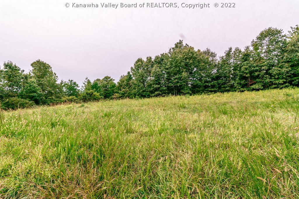 0 Jim Ridge Road Pleasureville, KY 40057 - Photo 13 of 18 Gallery Image 13