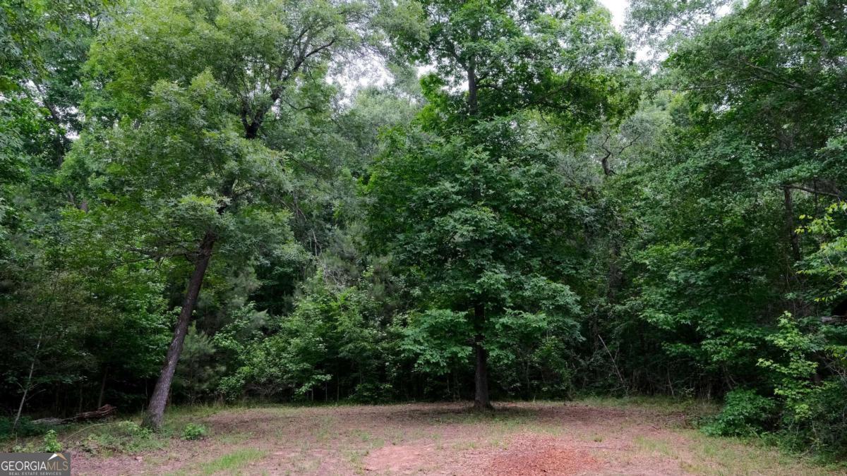 1455 Tappan Spur Road Watkinsville, GA 30677 - Photo 33 of 38