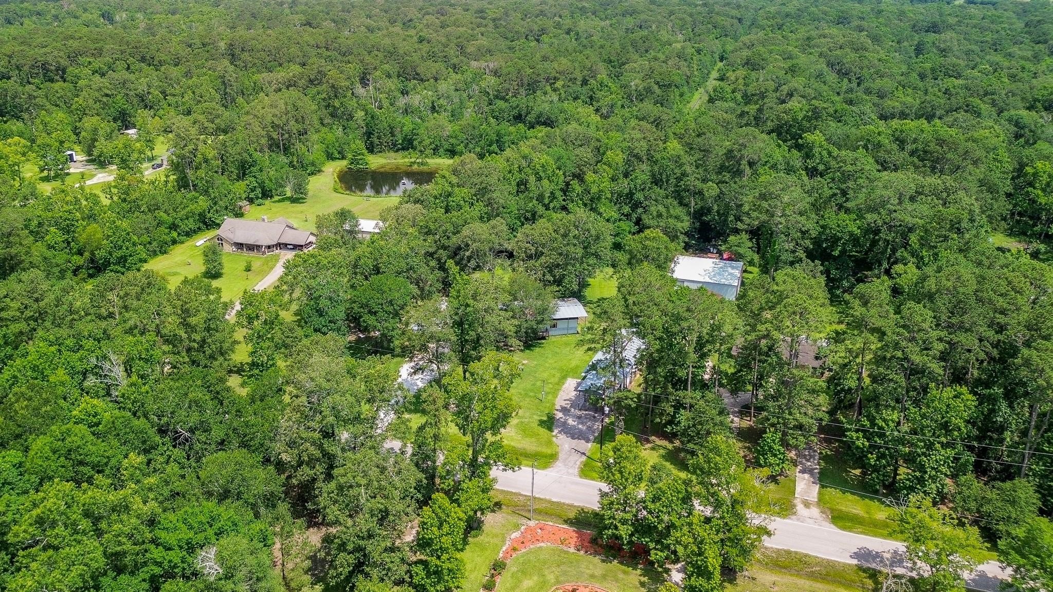 21326 Big Tree Drive Crosby, TX 77532 - Photo 19 of 19 a view of a yard with plants and large trees