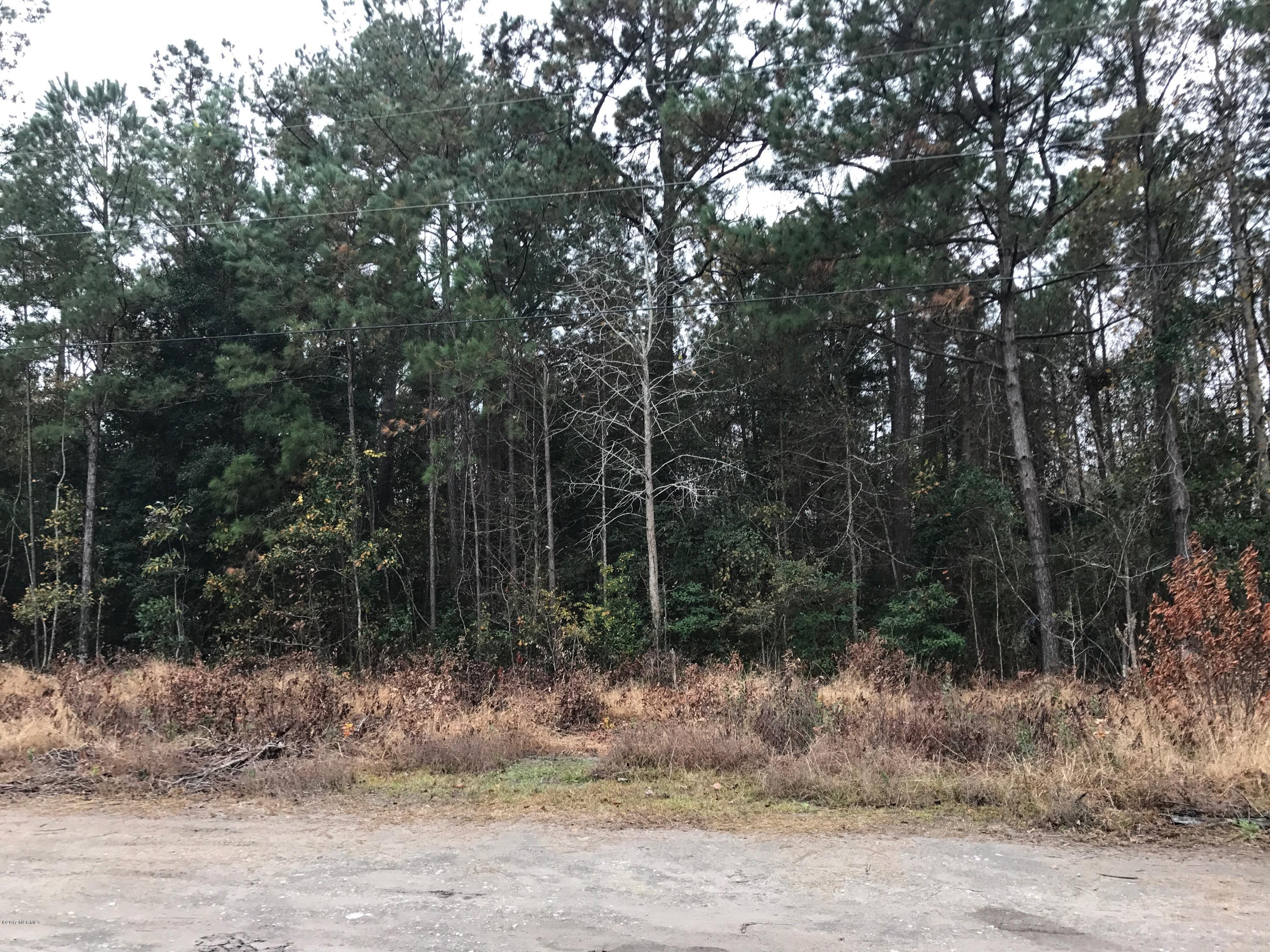 9 J E Batson Road Hampstead, NC 28443 - Photo 1 of 1 lot