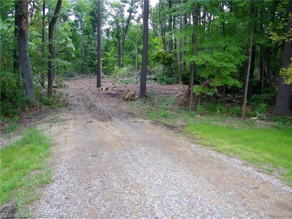 Vacant North Branch Road North Branch, MI 48461 - Photo 2 of 7 Gallery Image 2