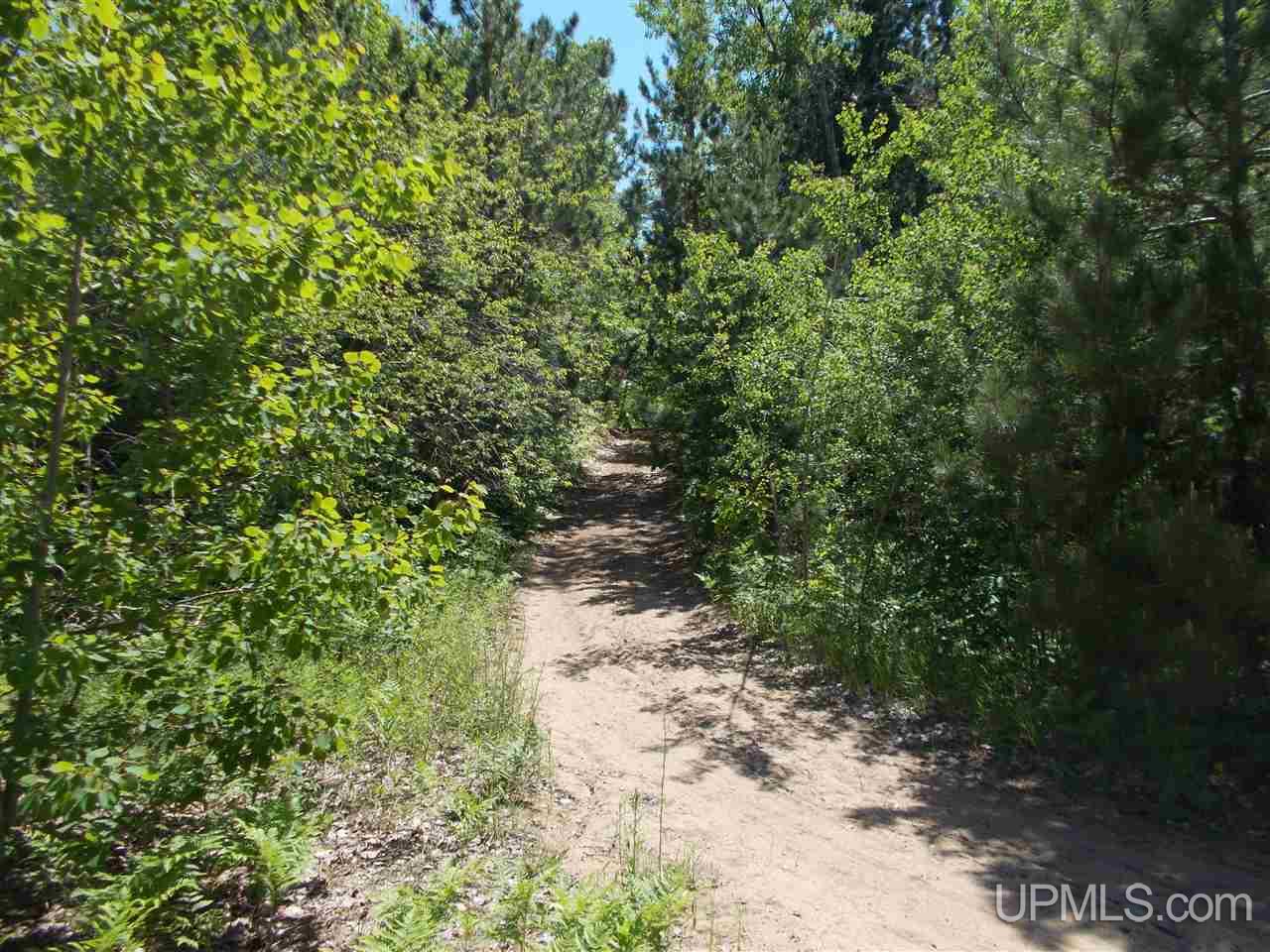 Lot A Lot A D Road Big Bay, MI 49808 - Photo 13 of 16