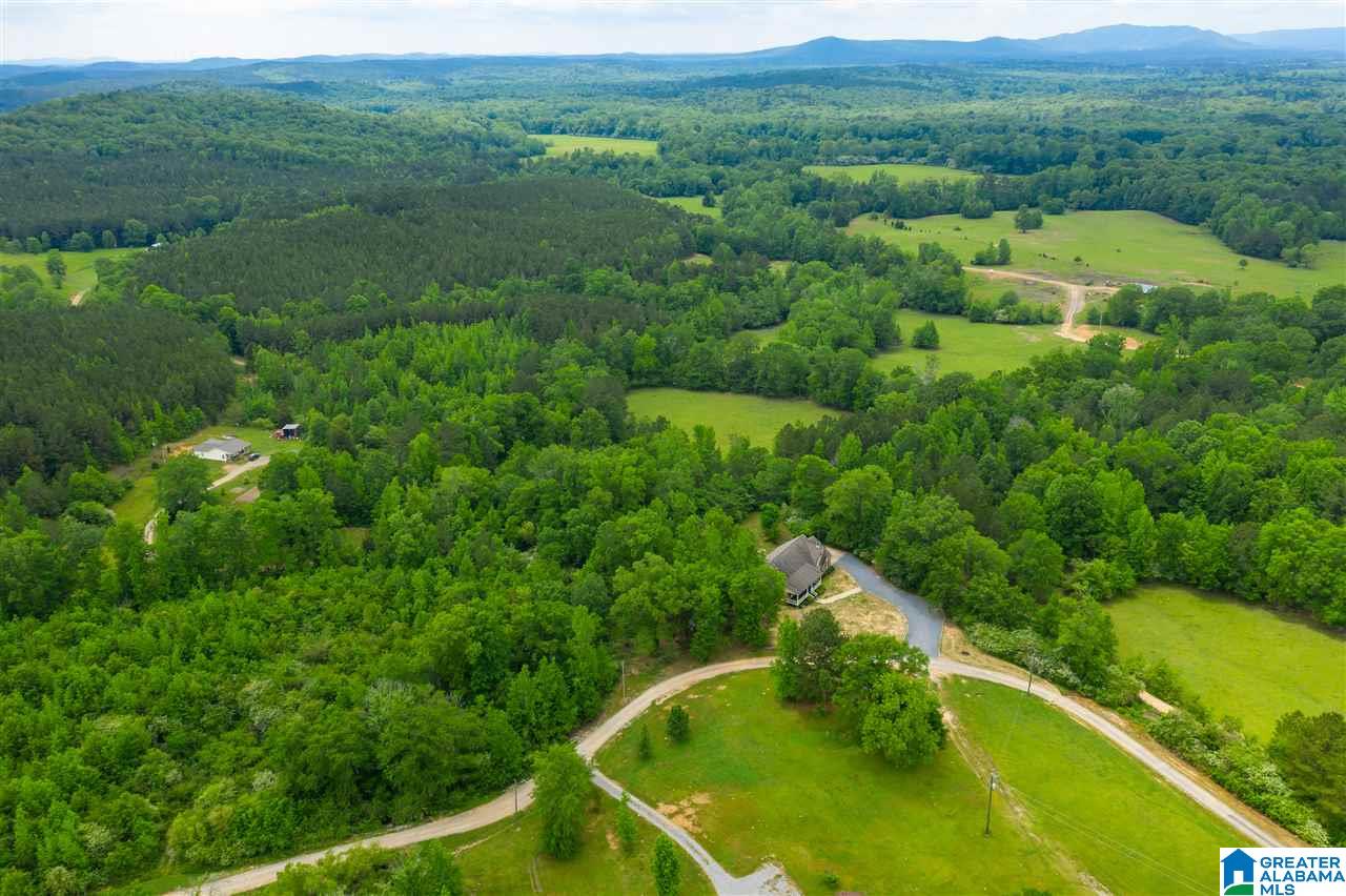 334 Old Eason Road Pell City, AL 35128 - Photo 41 of 47
