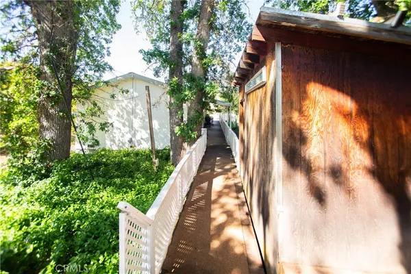 a view of yard with trees