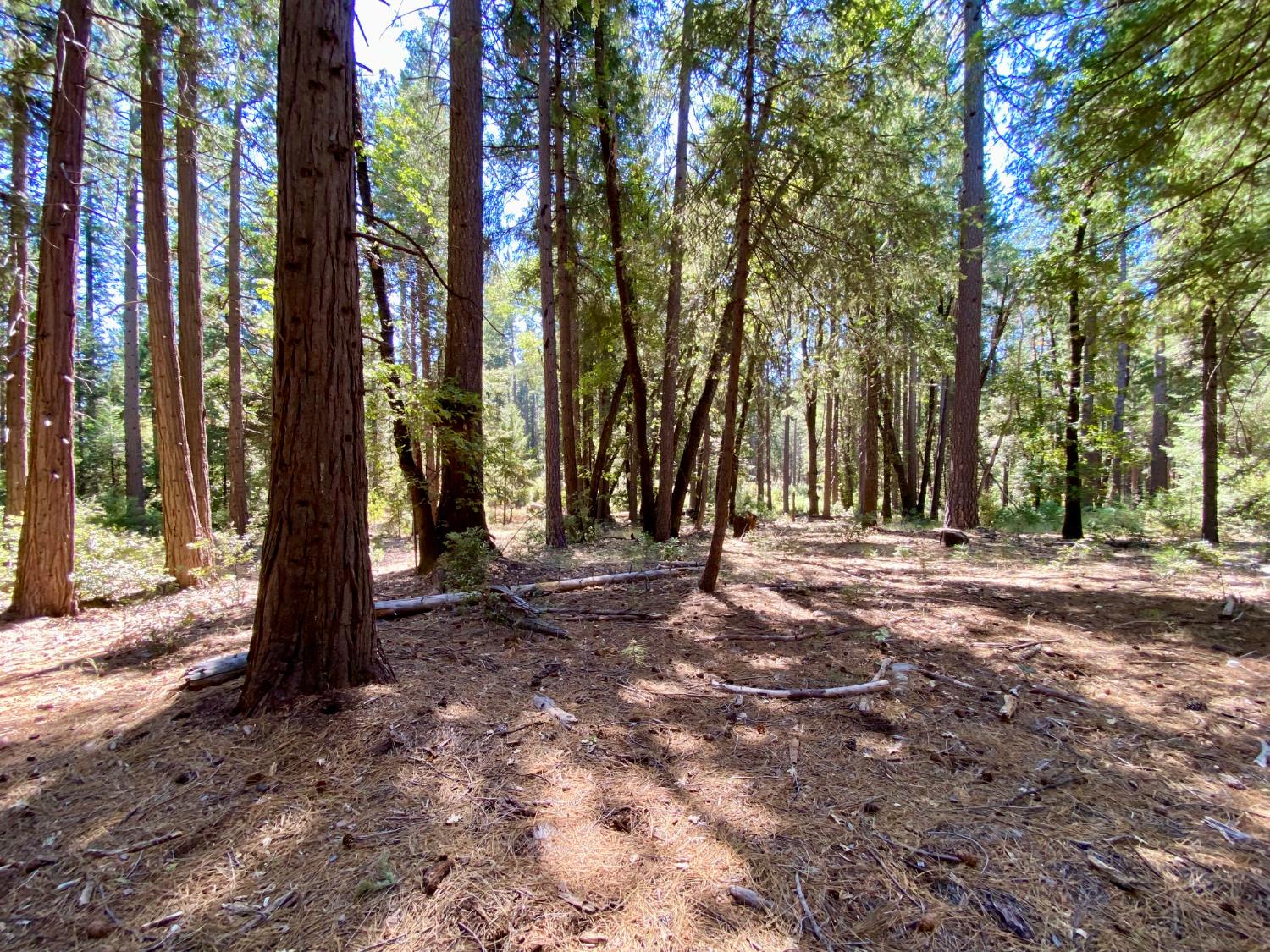 a view of outdoor space with deck