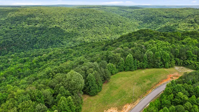 $55,000 | 0 Preservation Drive, Unit 29, South Pittsburg, TN 37380