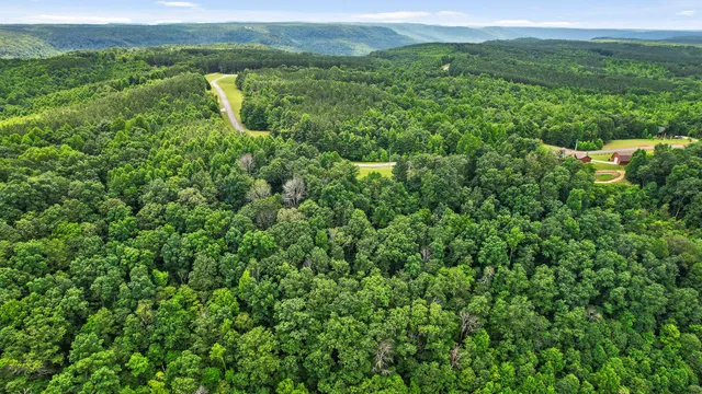 $55,000 | 0 Preservation Drive, Unit 29, South Pittsburg, TN 37380