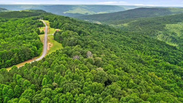 $55,000 | 0 Preservation Drive, Unit 29, South Pittsburg, TN 37380