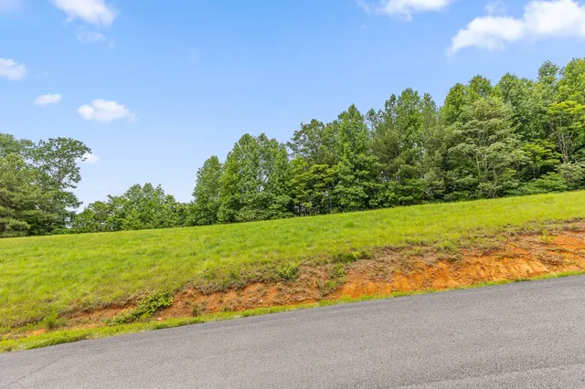 $55,000 | 0 Preservation Drive, Unit 29, South Pittsburg, TN 37380