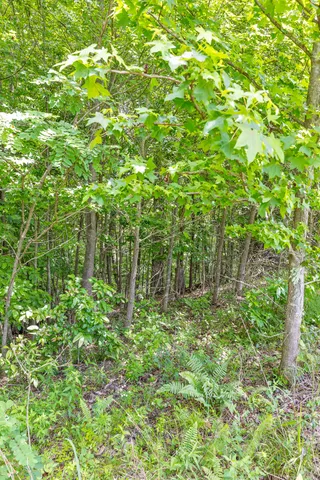 $55,000 | 0 Preservation Drive, Unit 29, South Pittsburg, TN 37380