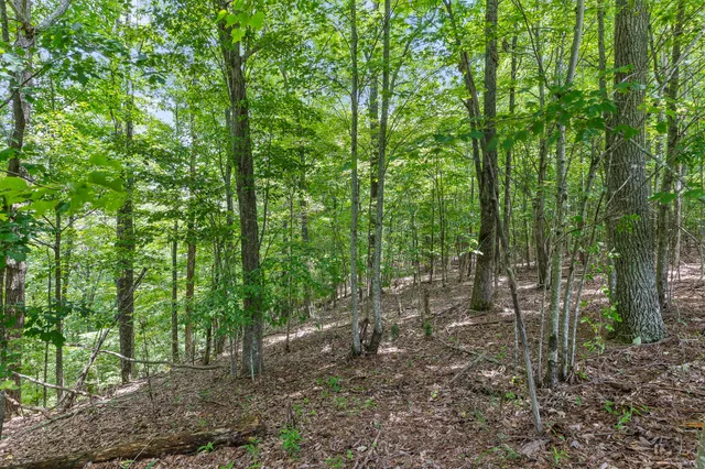 $55,000 | 0 Preservation Drive, Unit 29, South Pittsburg, TN 37380