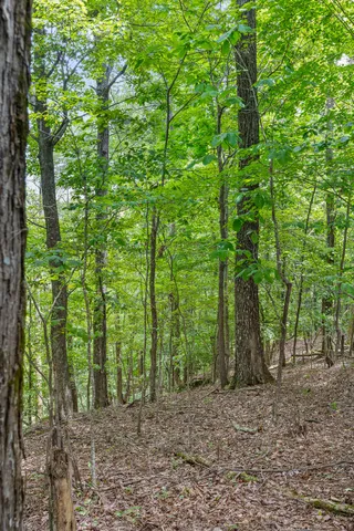 $55,000 | 0 Preservation Drive, Unit 29, South Pittsburg, TN 37380