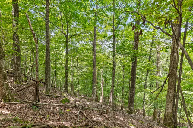 $55,000 | 0 Preservation Drive, Unit 29, South Pittsburg, TN 37380