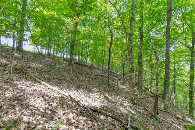 $55,000 | 0 Preservation Drive, Unit 29, South Pittsburg, TN 37380