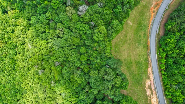 $55,000 | 0 Preservation Drive, Unit 29, South Pittsburg, TN 37380