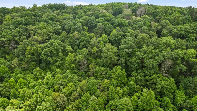 $55,000 | 0 Preservation Drive, Unit 29, South Pittsburg, TN 37380