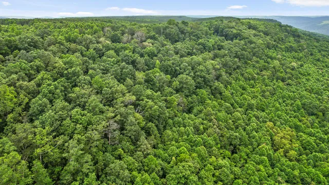 $55,000 | 0 Preservation Drive, Unit 29, South Pittsburg, TN 37380