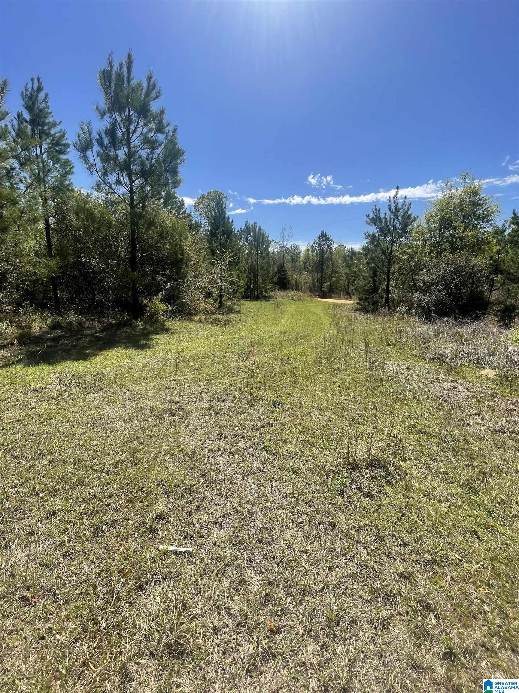 0 Richardson Road Brewton, AL 36426 - Photo 26 of 47