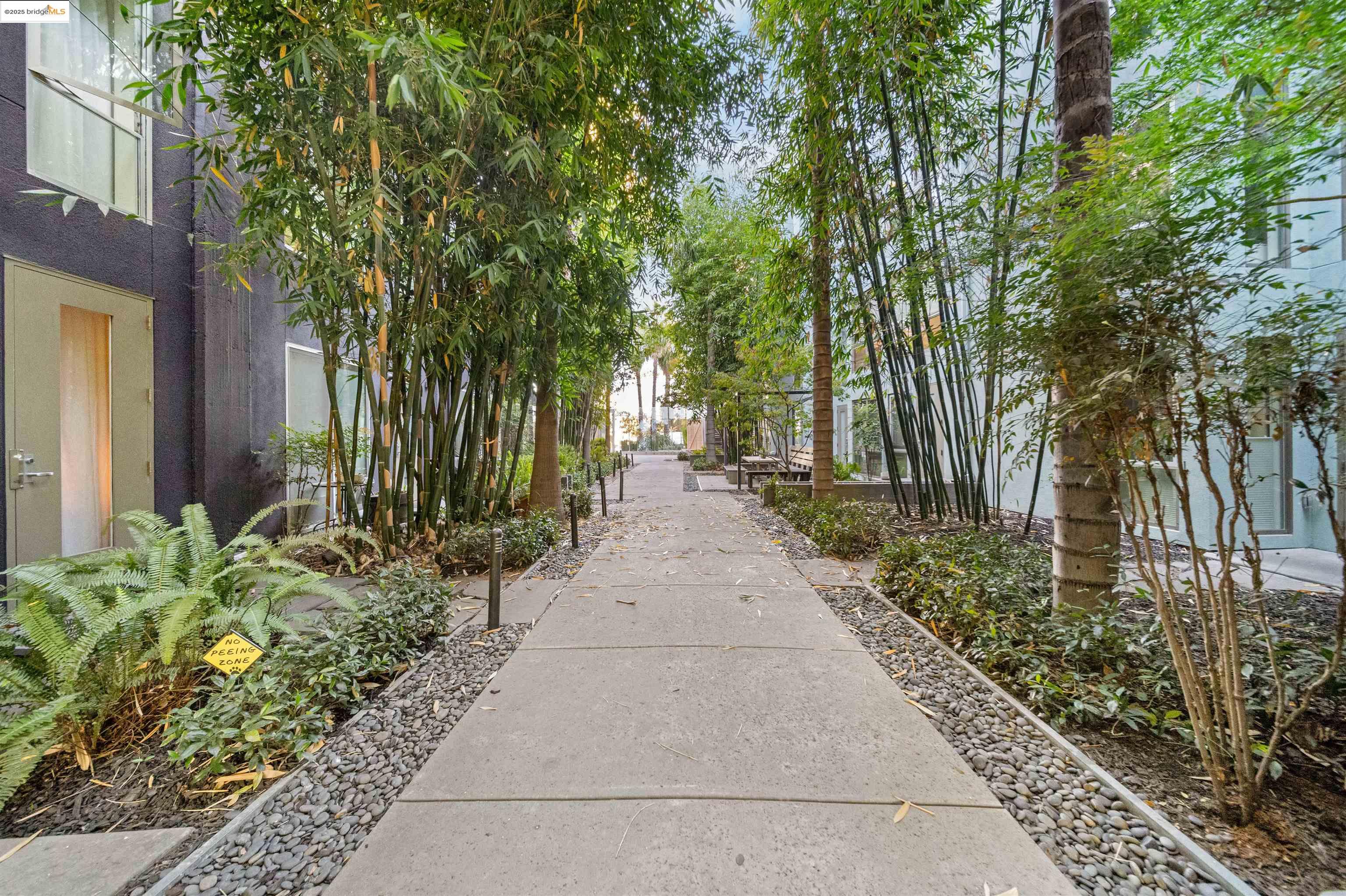 1201 Pine Street, Unit 363 Oakland, CA 94607 - Photo 20 of 25 a pathway of a house with a yard