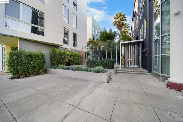 a view of a building with potted plants