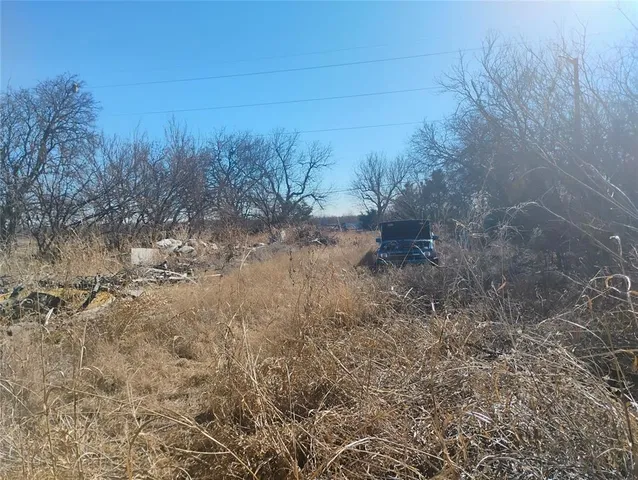 a view of a yard with trees in the background