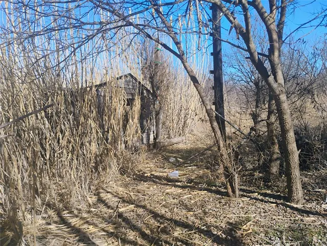 a view of a yard with trees
