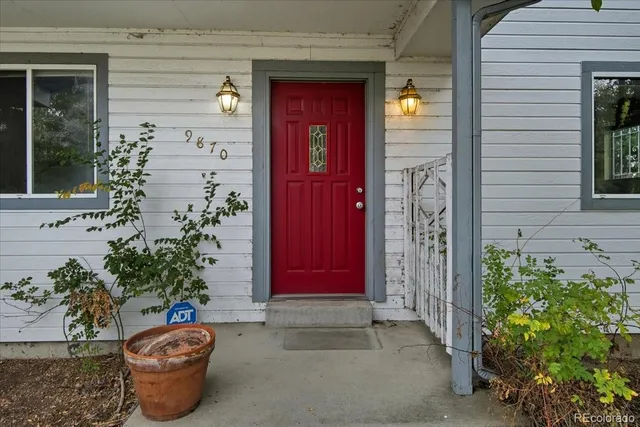 a potted plant in front of a house