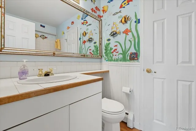 a bathroom with a sink a vanity and a toilet