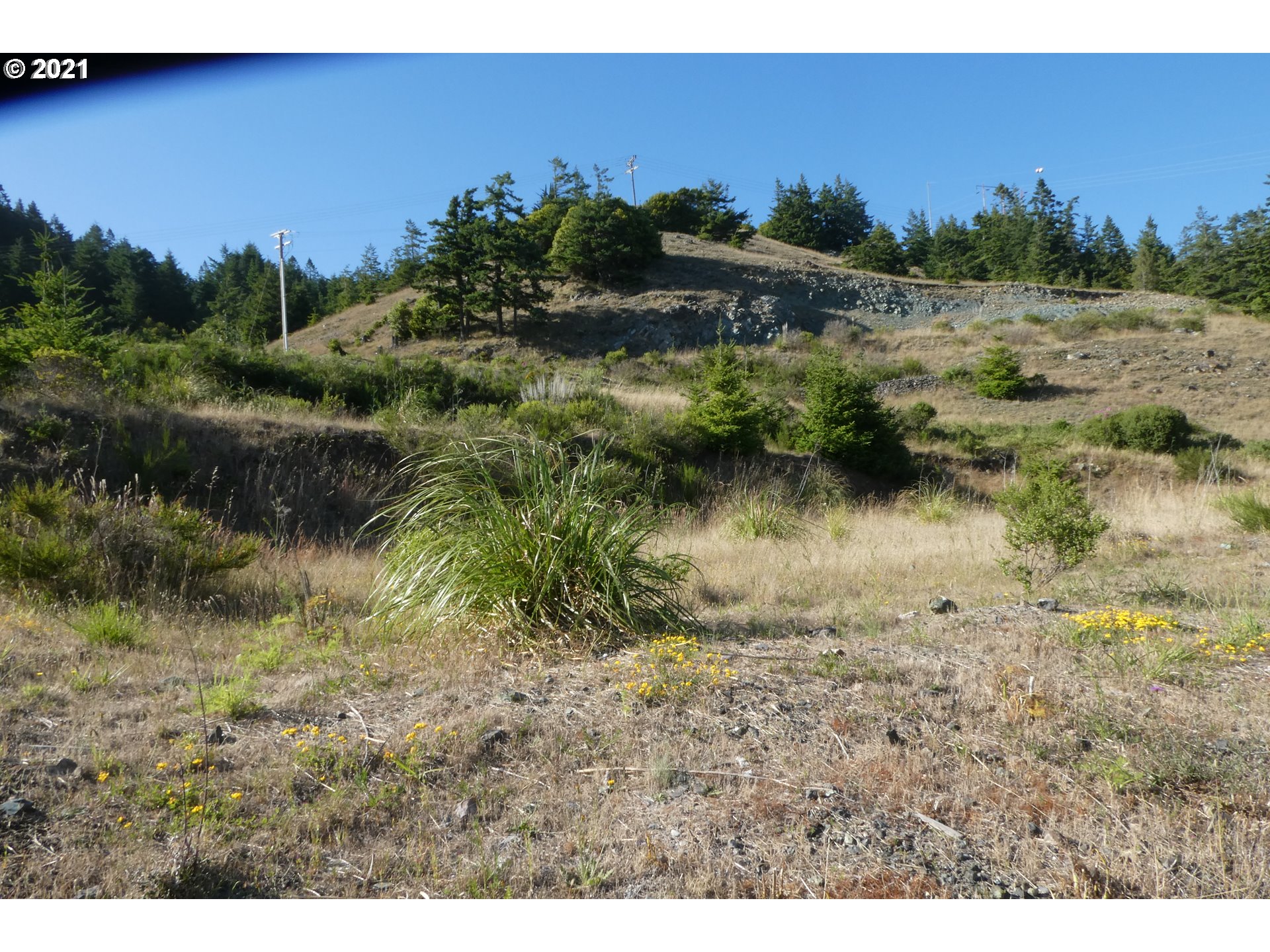 Hume Road, Unit 316 Gold Beach, OR 97444 - Photo 11 of 11 Gallery Image 11