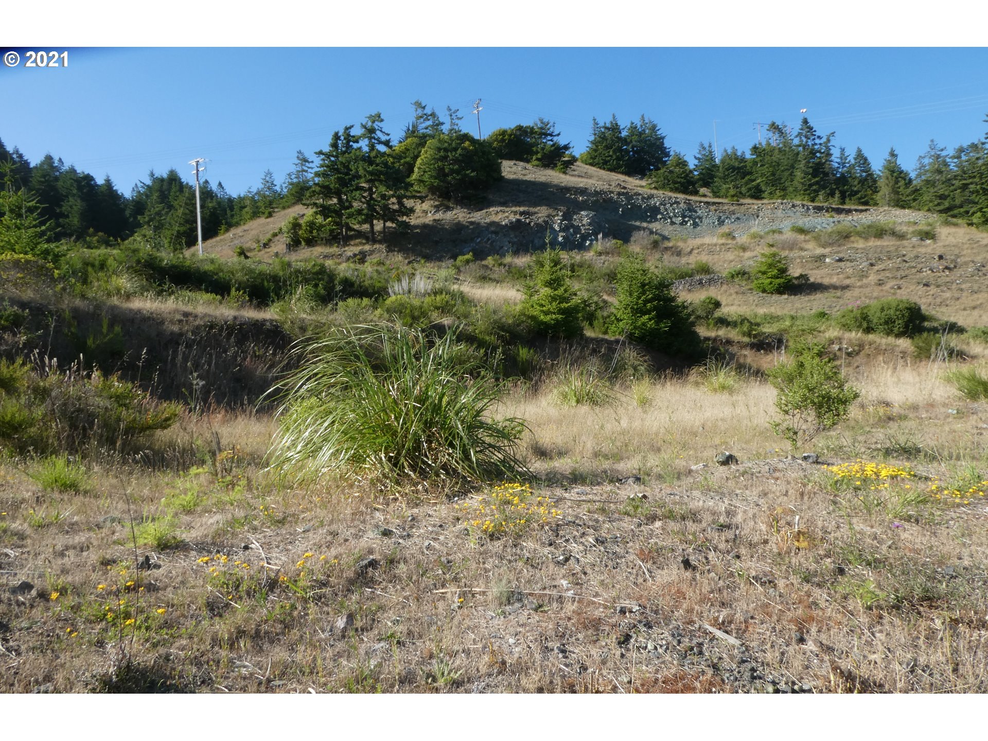 Hume Road, Unit 316 Gold Beach, OR 97444 - Photo 5 of 11 Gallery Image 5